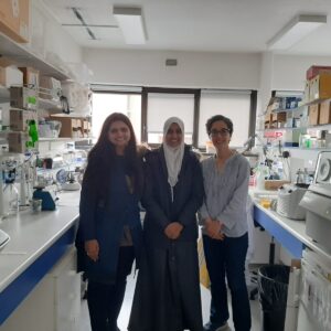 Toulouse Institute for Infectious and Inflammatory diseases – France 2023